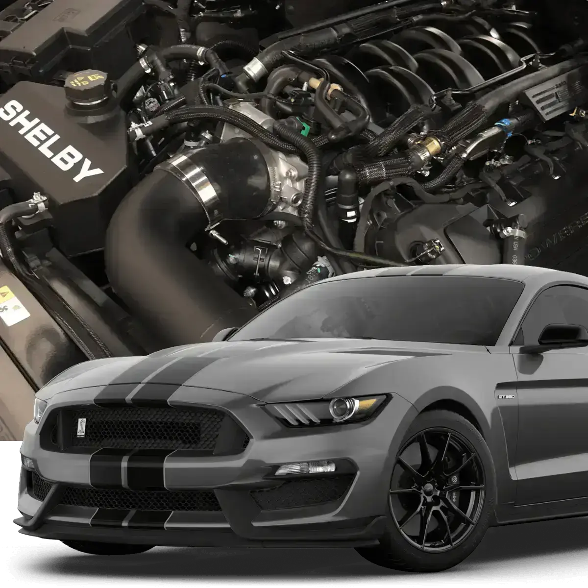 Hellion 2016-2020 Ford Mustang Shelby Gt350 Street Sleeper® Hidden Twin Turbo System 1