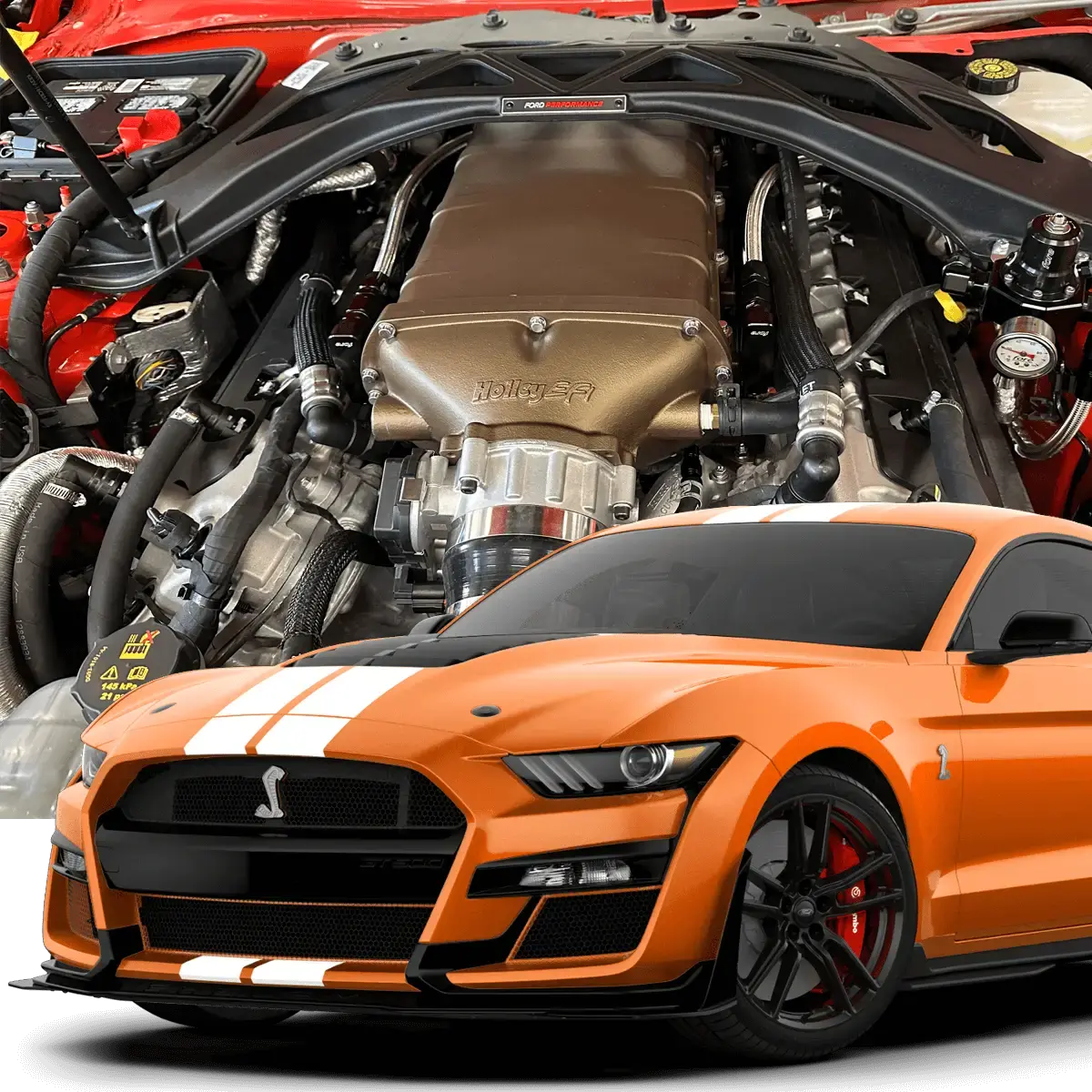 Hellion 2020+ Ford Mustang Shelby Gt500 Street Sleeper® Hidden Twin Turbo System 1