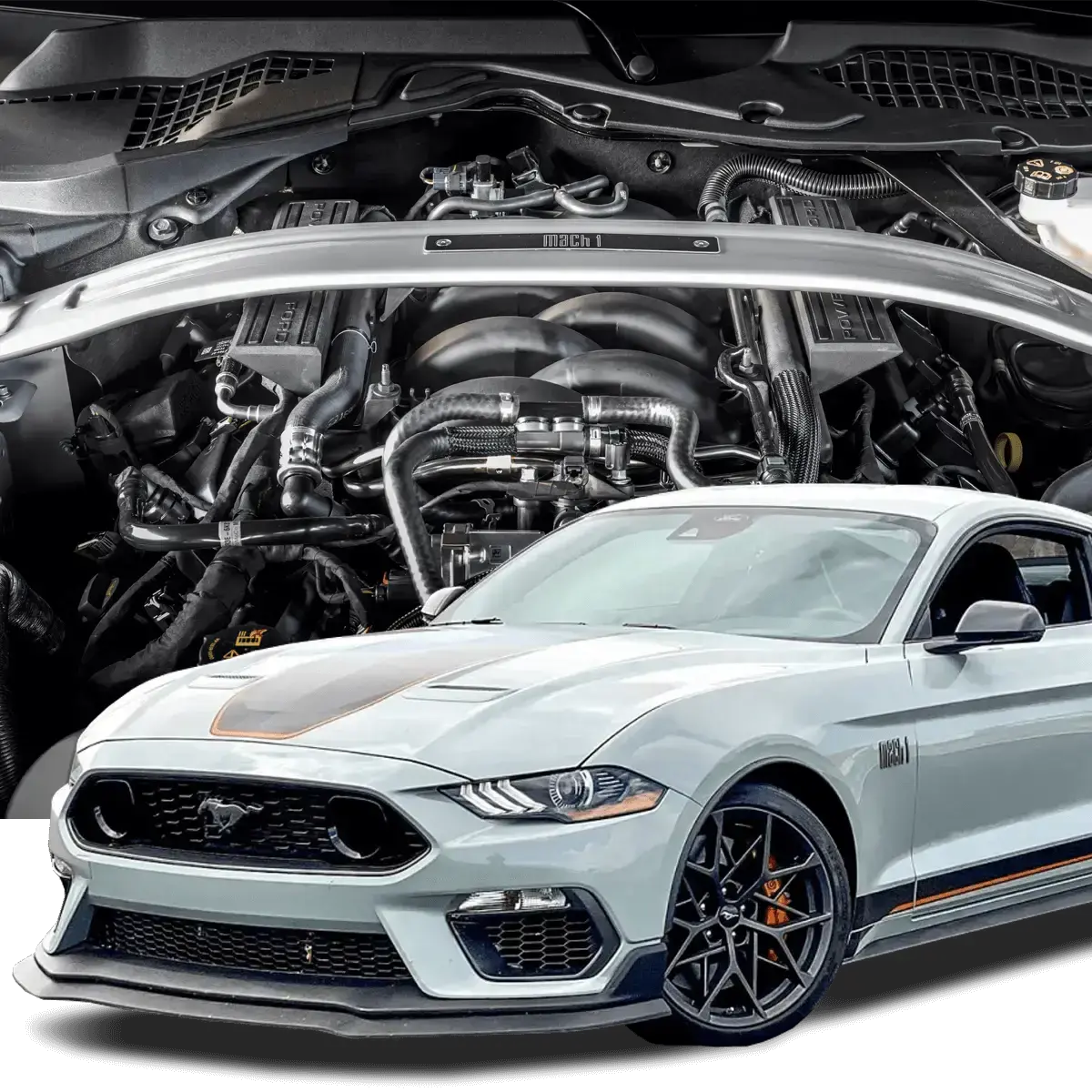 Hellion 2021-2023 Mustang Mach 1 Eliminator Top Mount Twin Turbo System 1