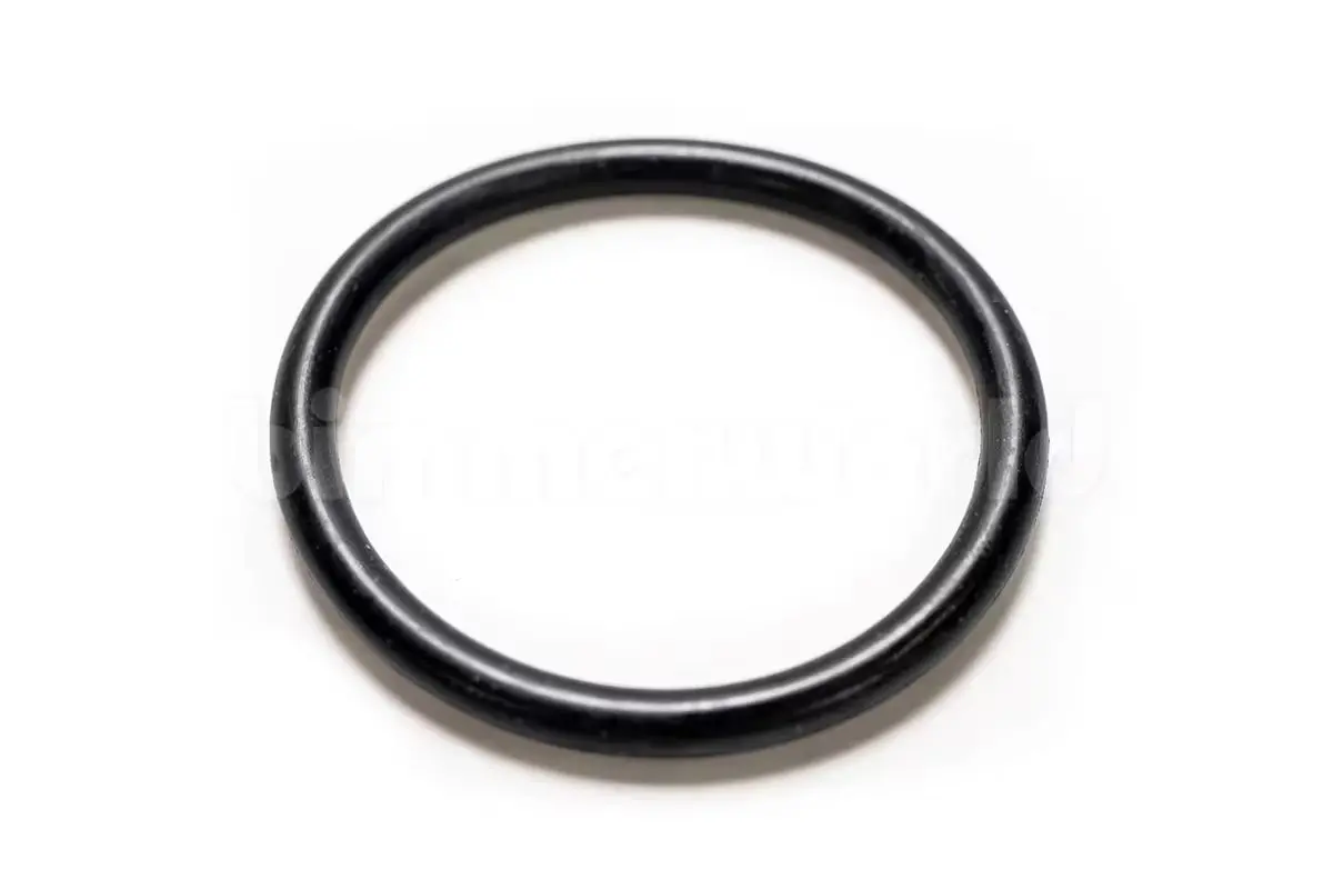 Radiator Hose O-Ring, Upper Or Lower - E46 323I/325I/328I/330I 1