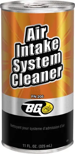 Bg Air Intake System Cleaner 11Oz. 1