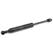 Bmw Hatch Lift Support - Genuine Bmw 51248120172 1