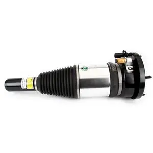 Porsche Electronic Eride Air Strut - Arnott Industries Ase3631 1