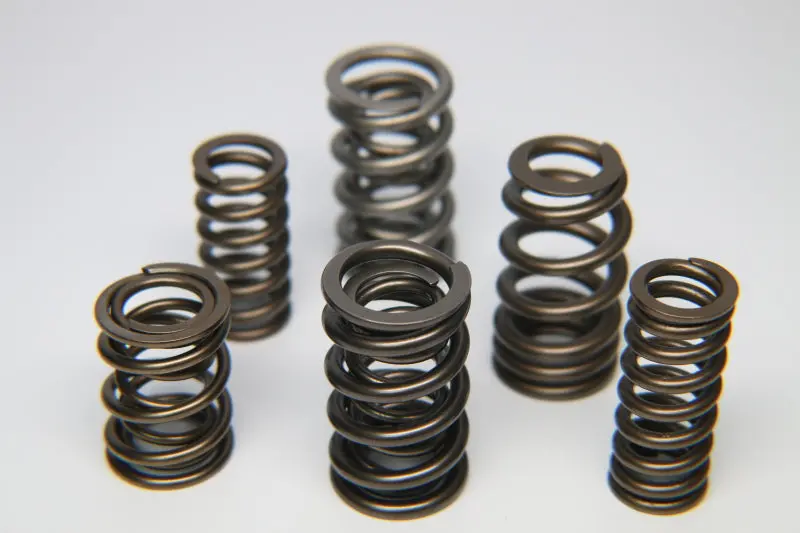 Ferrea Dual Chrome Silicon Valve Spring Set – Nissan Tb45E Engine, 12-Piece Kit 1