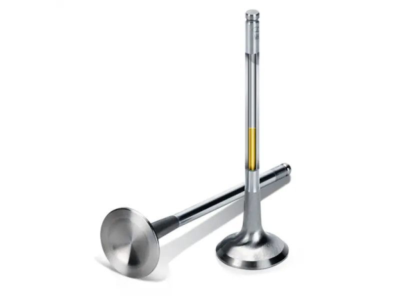 Supertech Sodium-Filled Inconel Exhaust Valves For Ford Ecoboost 2.0L & 2.3L Engines – 8-Piece Set 1